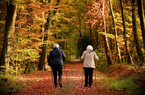 Kuvassa kaksi vanhusta sauvakävelee metsässä.